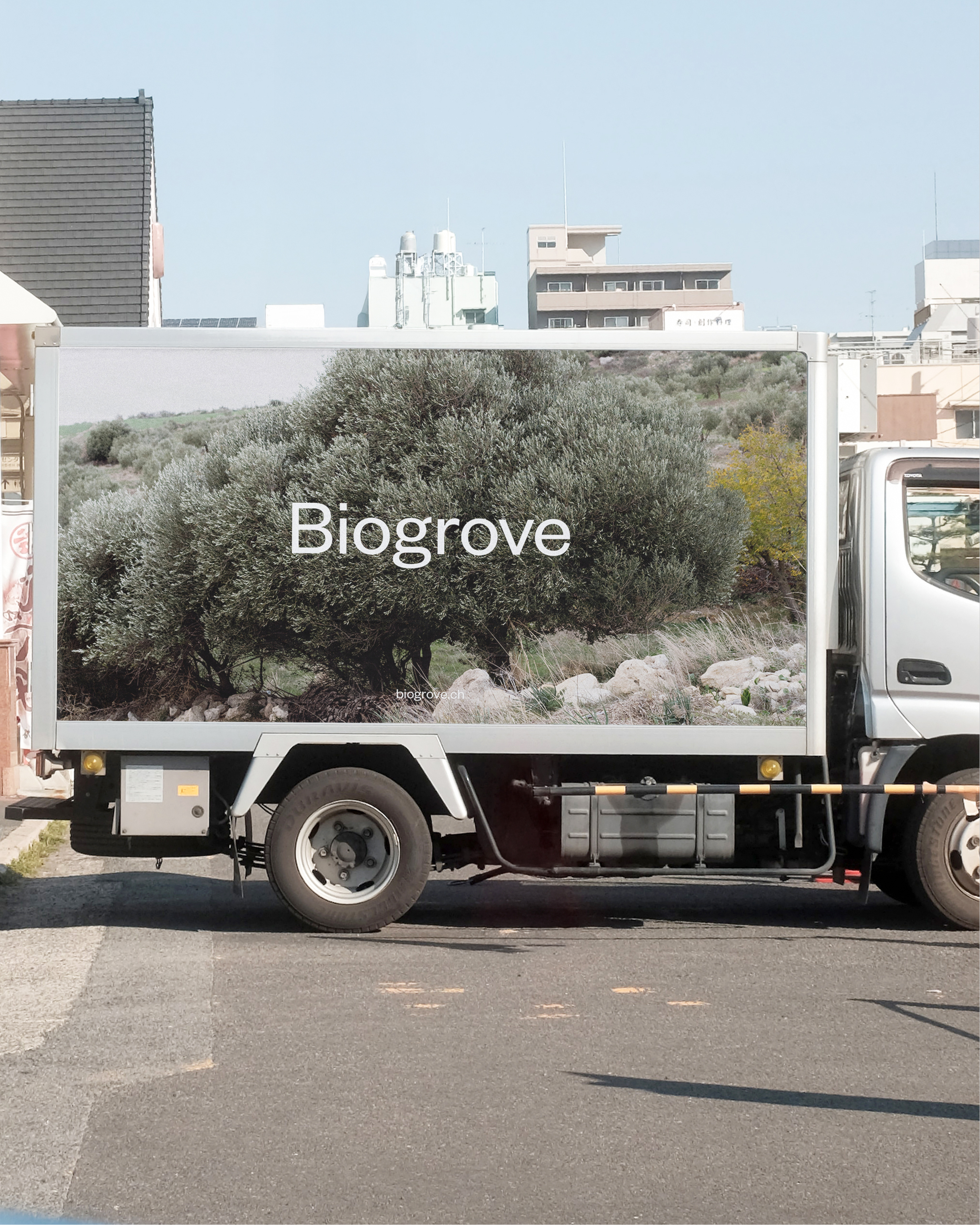 Crafting a Premium, Ethically-Driven Olive Oil Brand