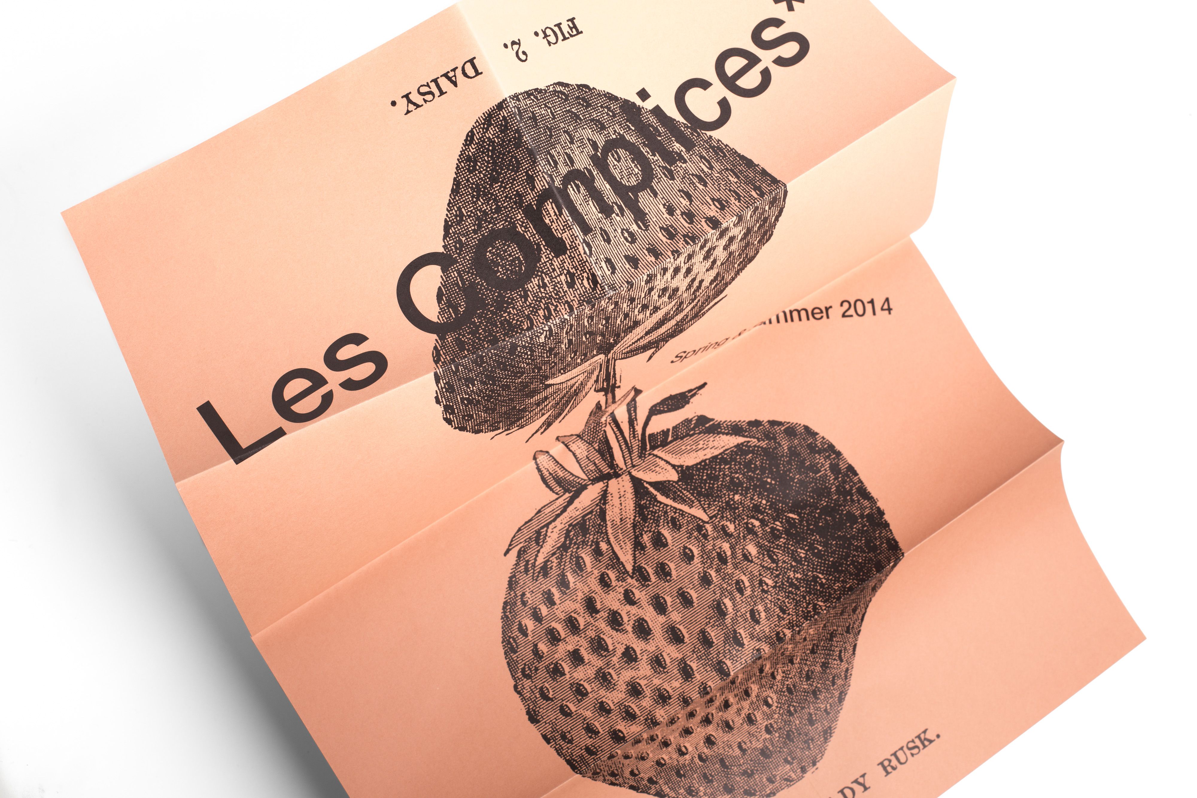 Les Complices