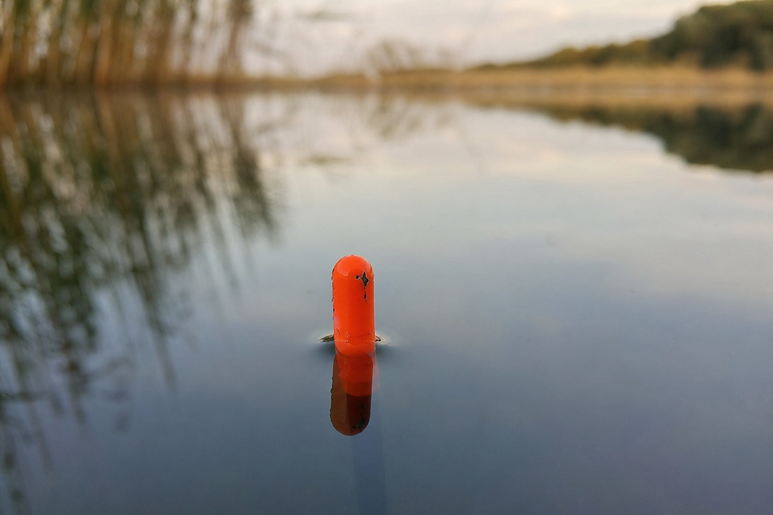 Orange-tipped waggler float showing only its tip above a flat stillwater surface