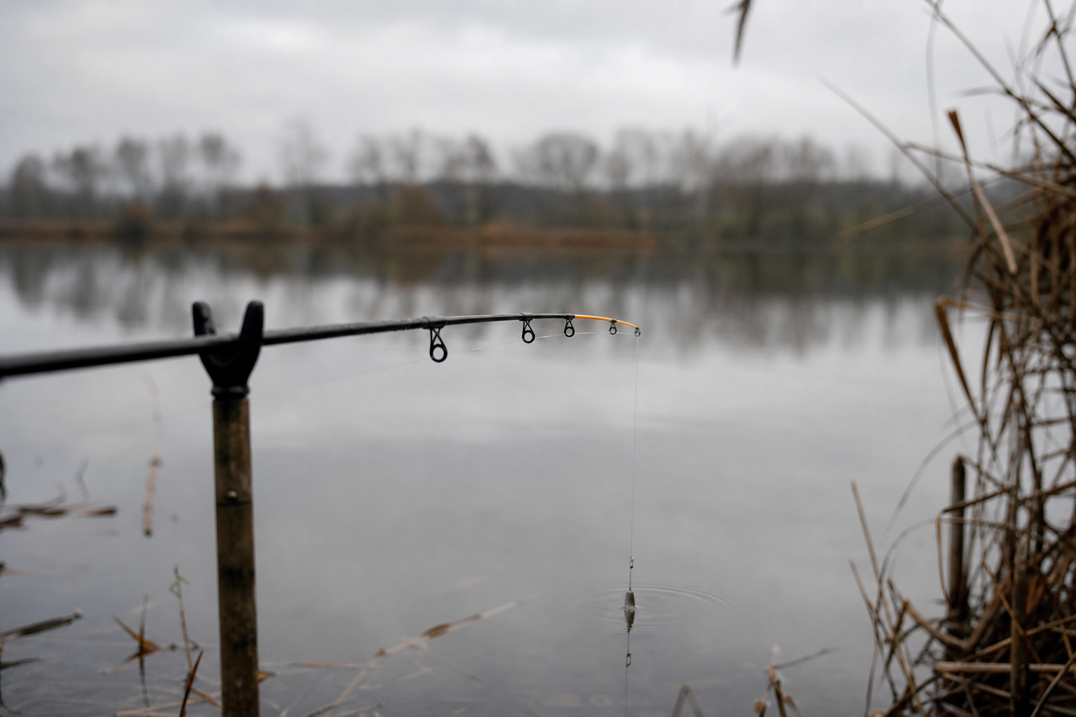 Feeder rod quivertip held over the calm surface of a small stillwater fishery on an overcast day
