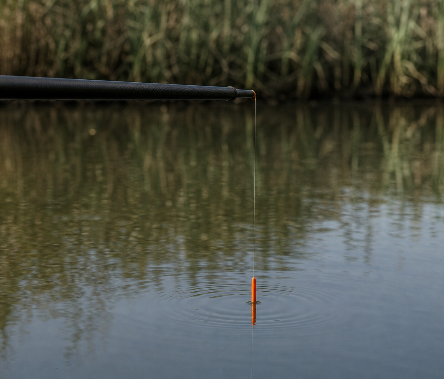 The tip of a black carbon fishing pole held out over a calm canal, with a single fine line running straight down to a small orange-tipped float and ripples on the water, reeds along the far bank