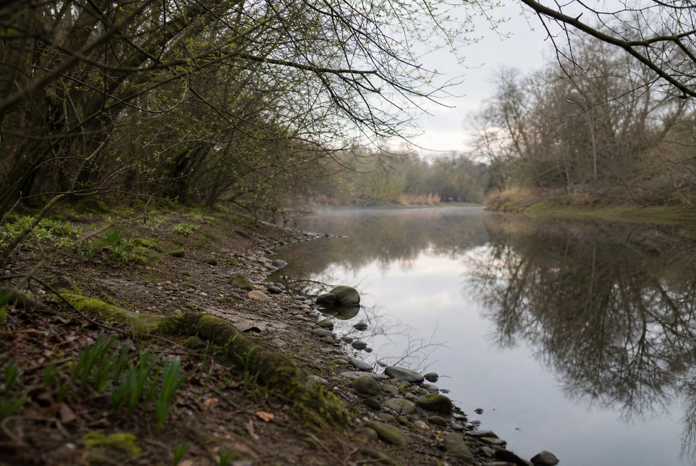 A quiet English river bank with bare trees and still water in early spring.
