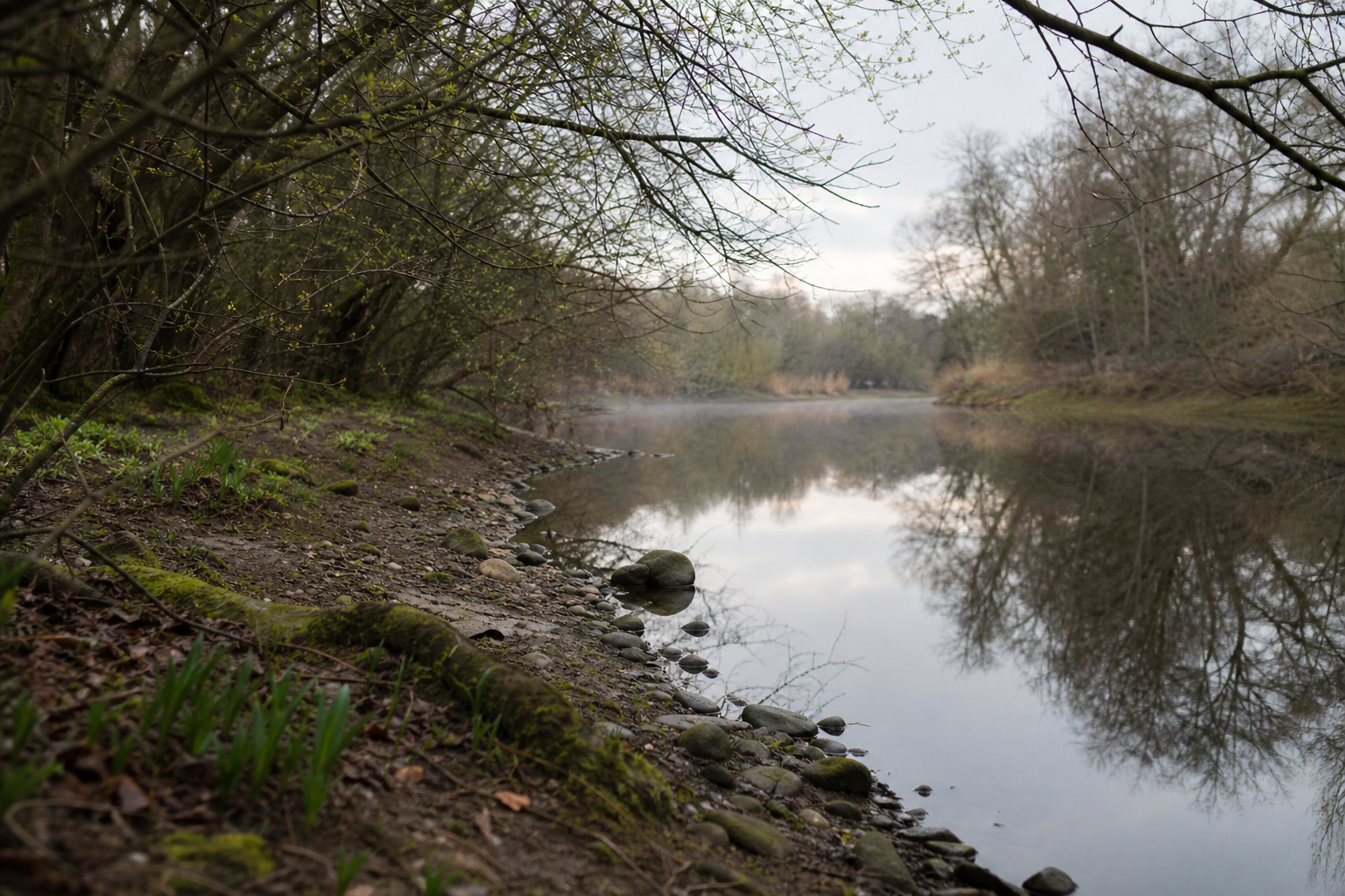 A quiet English river bank with bare trees and still water in early spring.