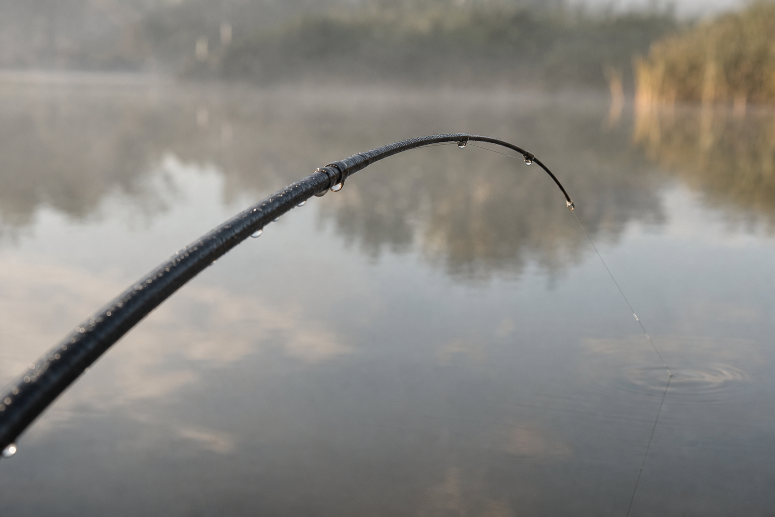 Carbon quivertip curved in a gentle arc above calm lake surface at close range