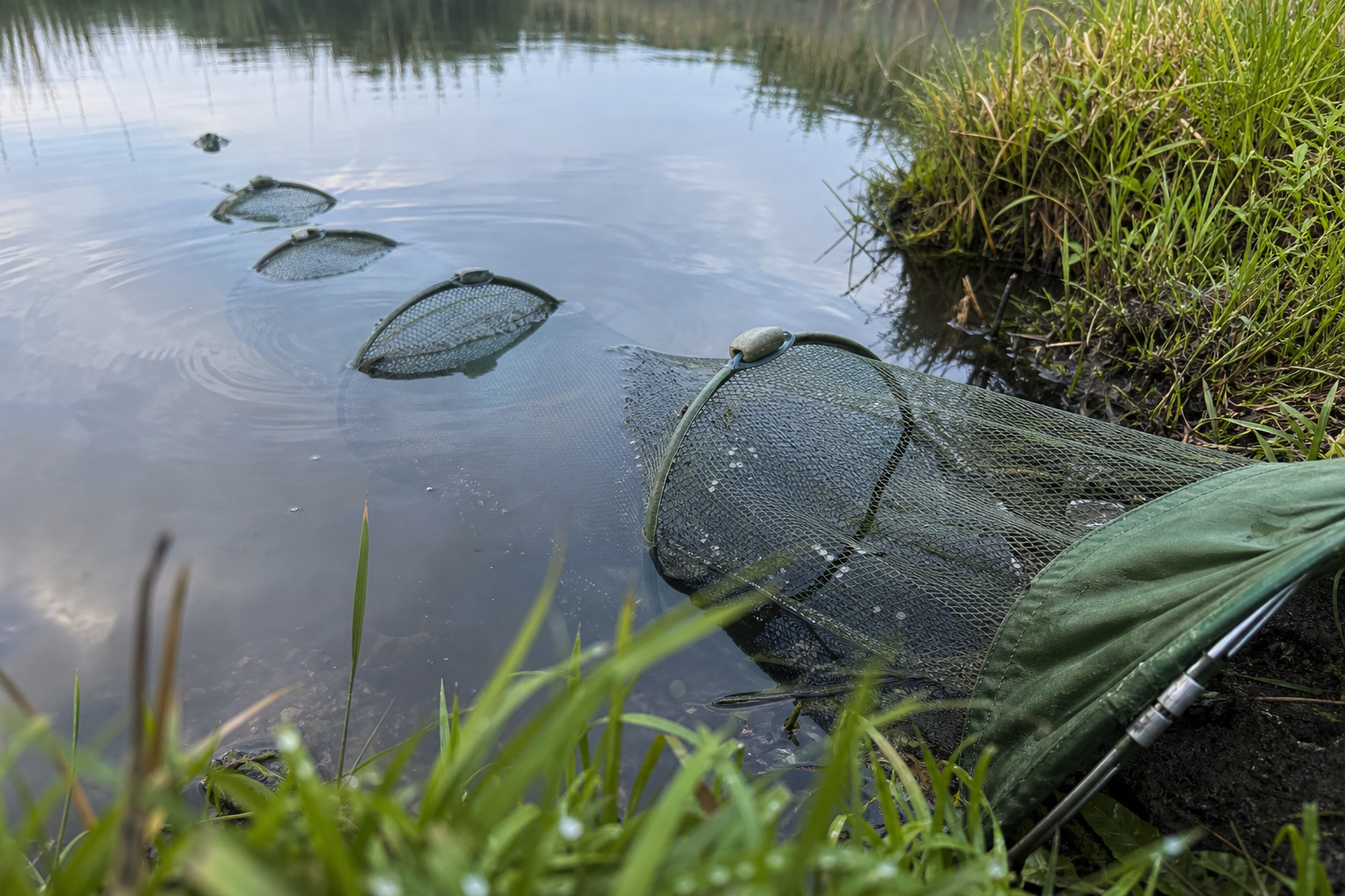 A green keepnet fully extended in calm lake water beside a grass bank