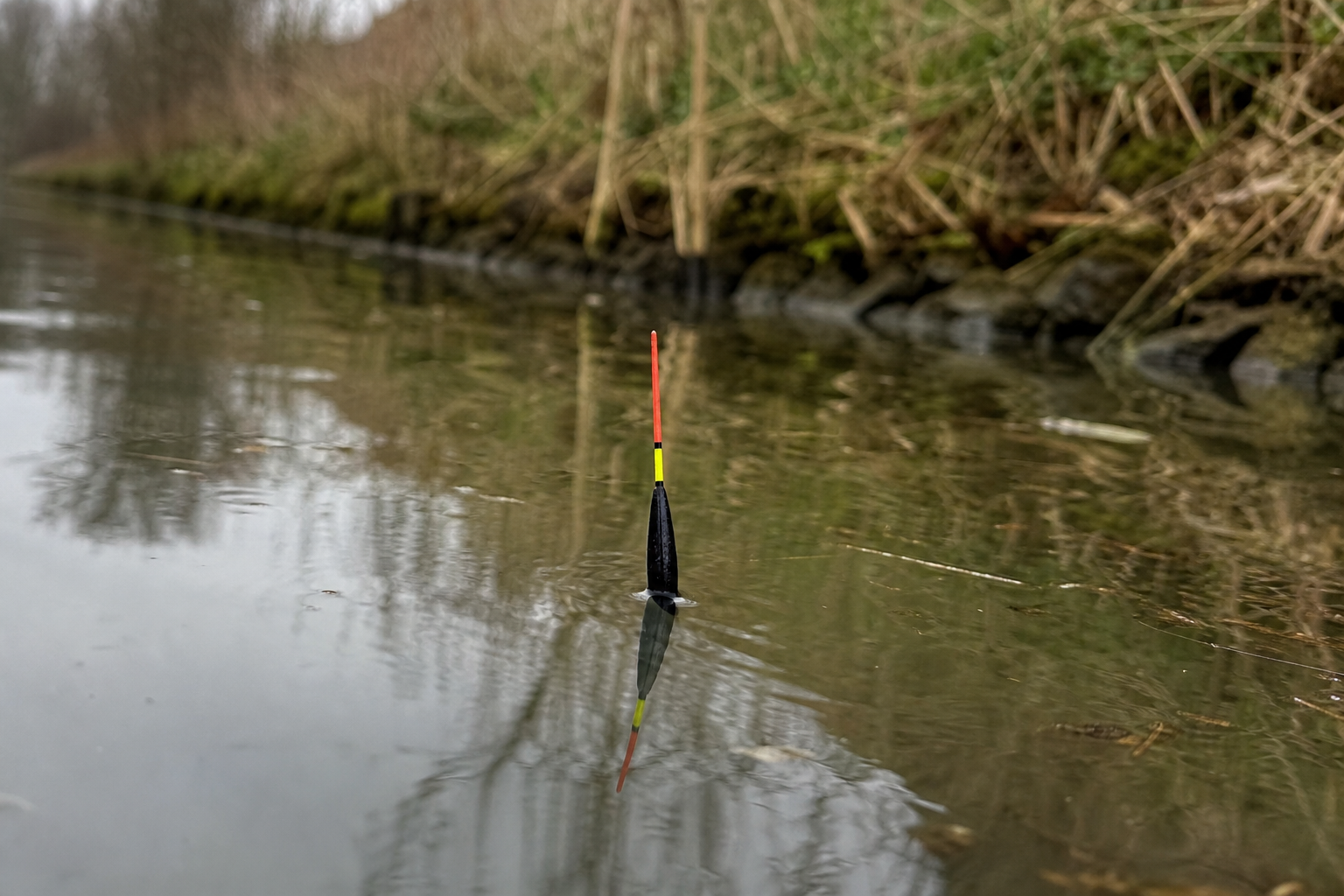 A small waggler float sitting upright in calm canal water near the far bank