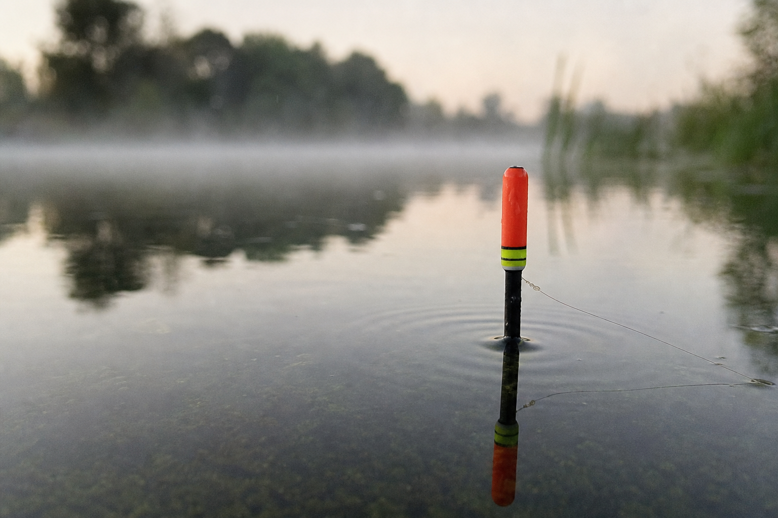 A waggler float sitting upright on the calm surface of a still lake