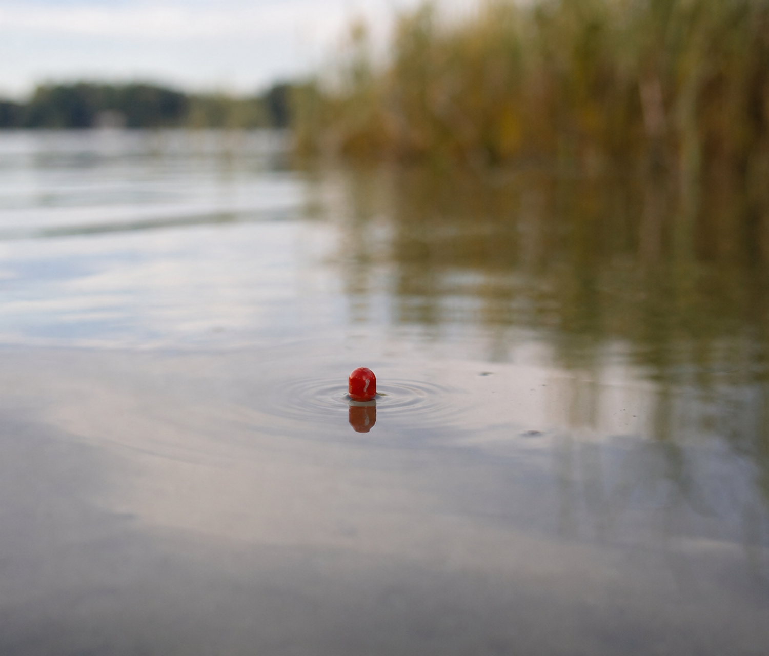 A slim red-tipped float sitting low in calm lake water, just a few millimetres of tip visible