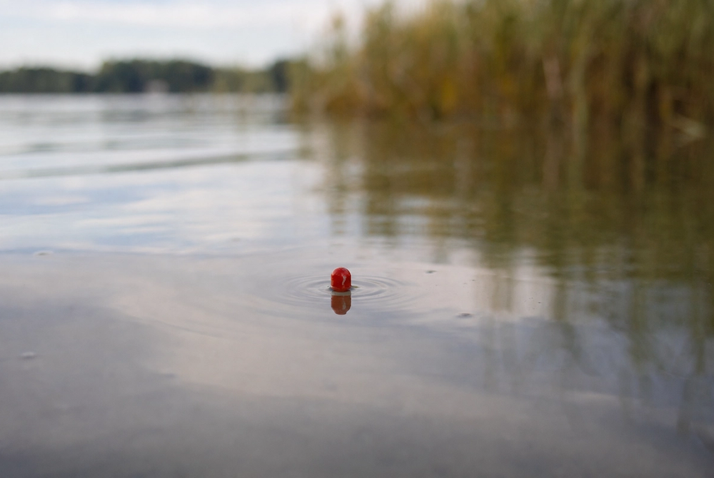 A slim red-tipped float sitting low in calm lake water, just a few millimetres of tip visible