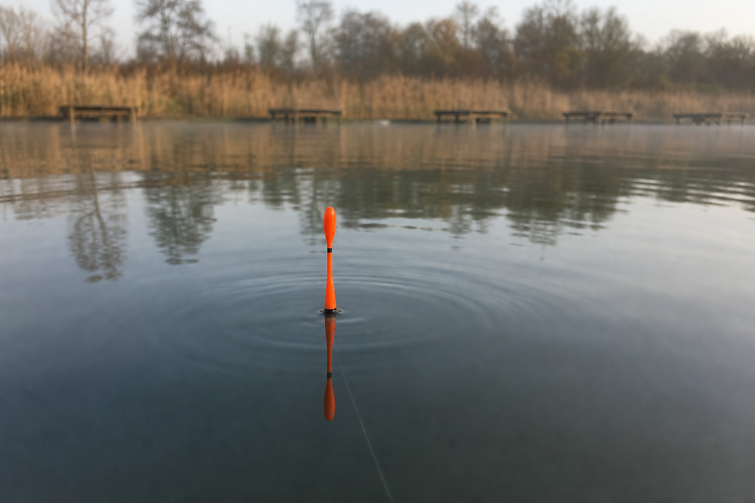 Bright orange waggler float sitting upright on calm lake surface at a commercial fishery
