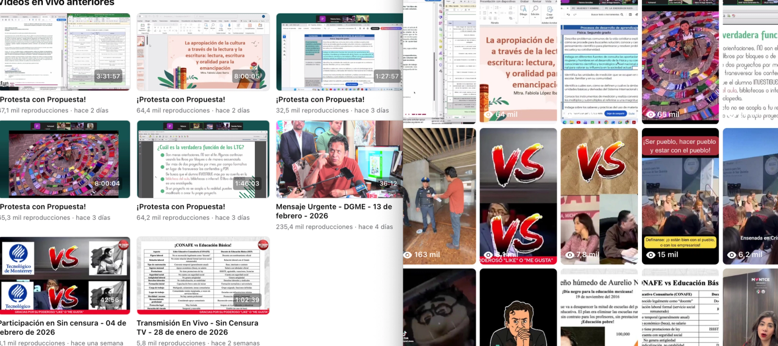 Una imagen compuesta con los videos e historias cortas de la cuenta de Facebook de Arriaga.