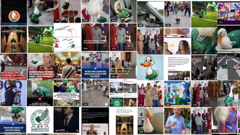 El debate en las redes alrededor del Pato Merlín: ¿en dónde se asocia con más opiniones positivas y en dónde con negativas?
