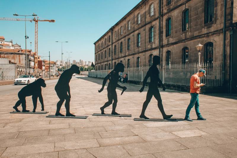Evolucionismo y mentalidad moderna