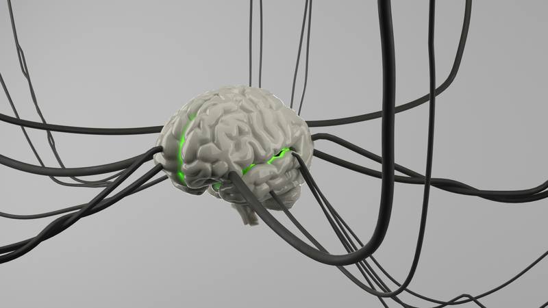 Las emociones como llave de suscripción: una mirada neurocientífica al consumo digital