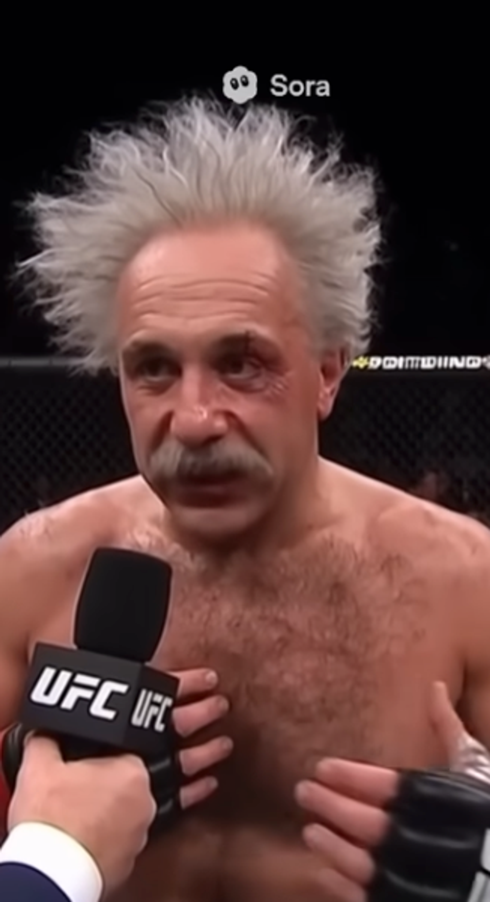 Un Albert Einstein en la UFC hecho con Sora AI.
