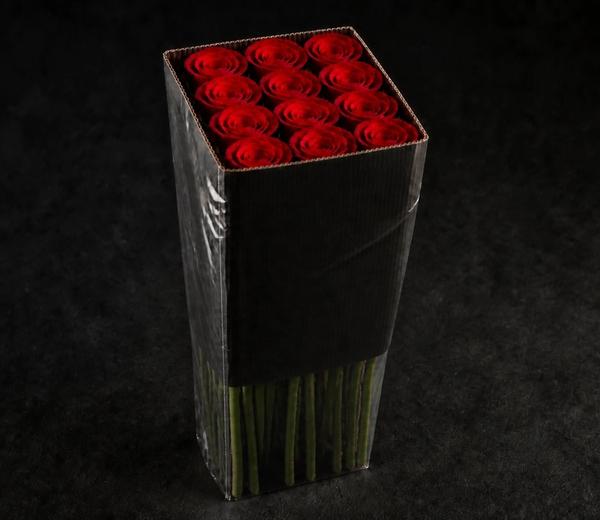 25 Count Red Rose Stems