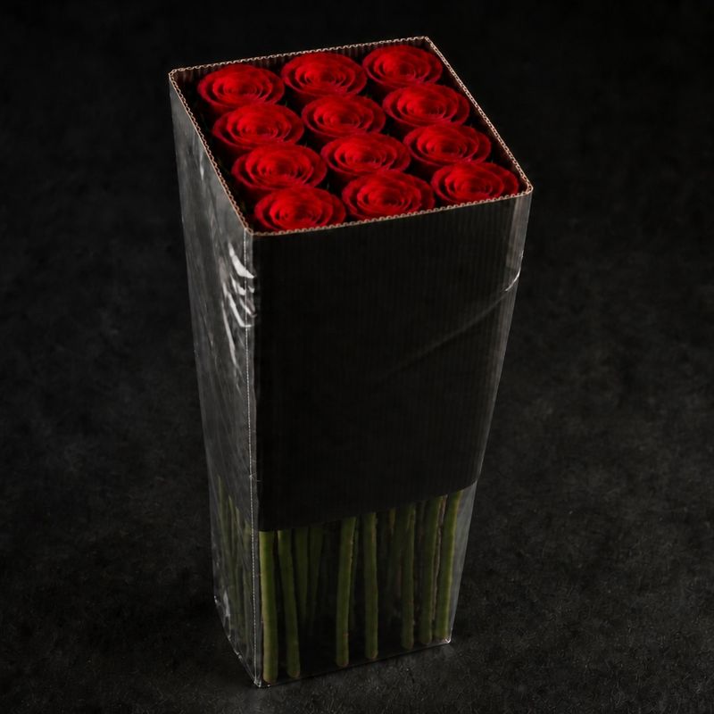 25 Count Red Rose Stems