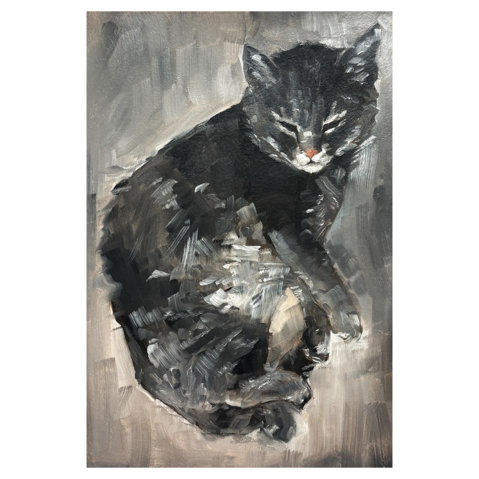 grey cat