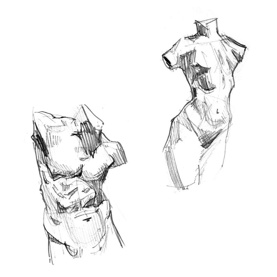 anatomy/ figure
