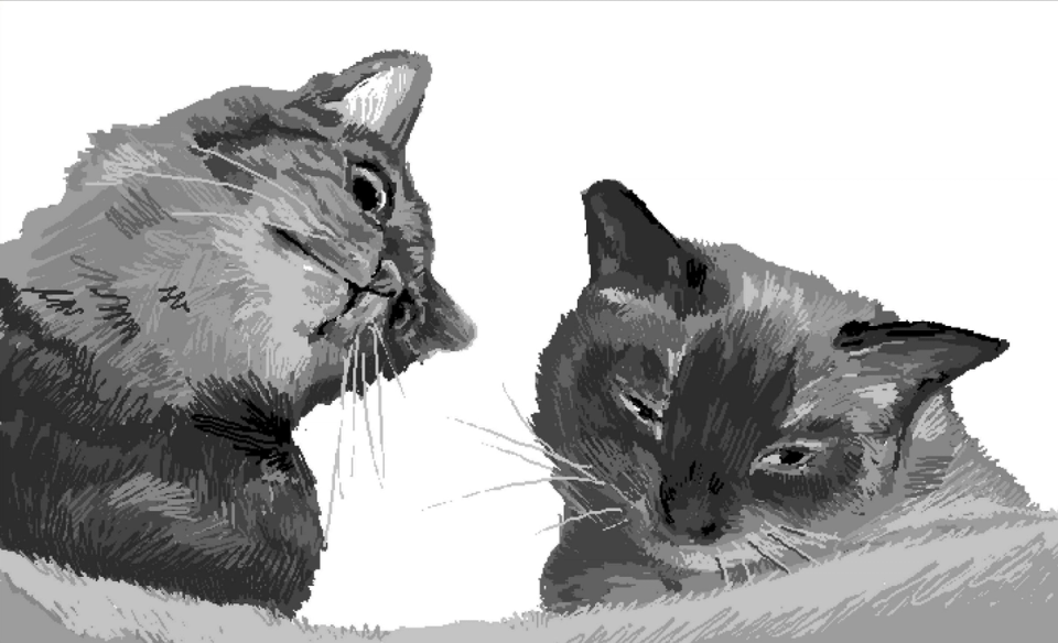 cats