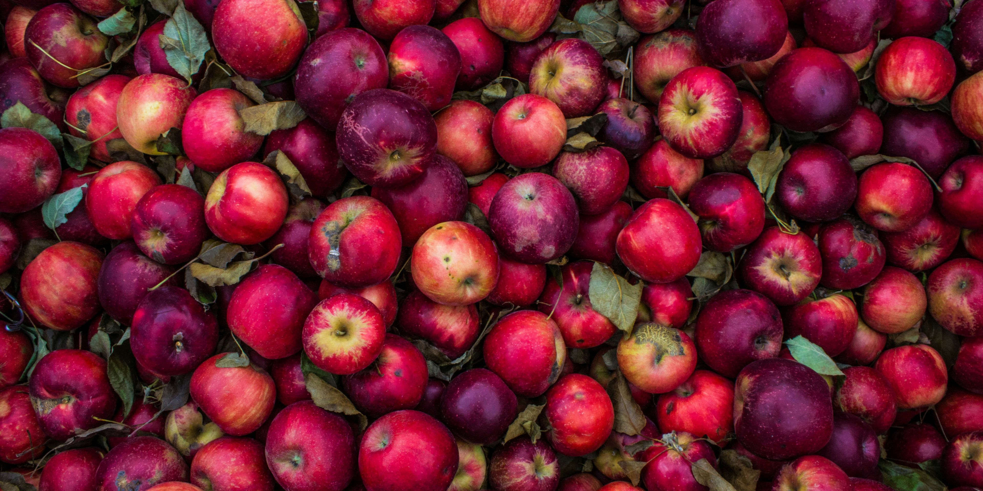 First Post Cover Image