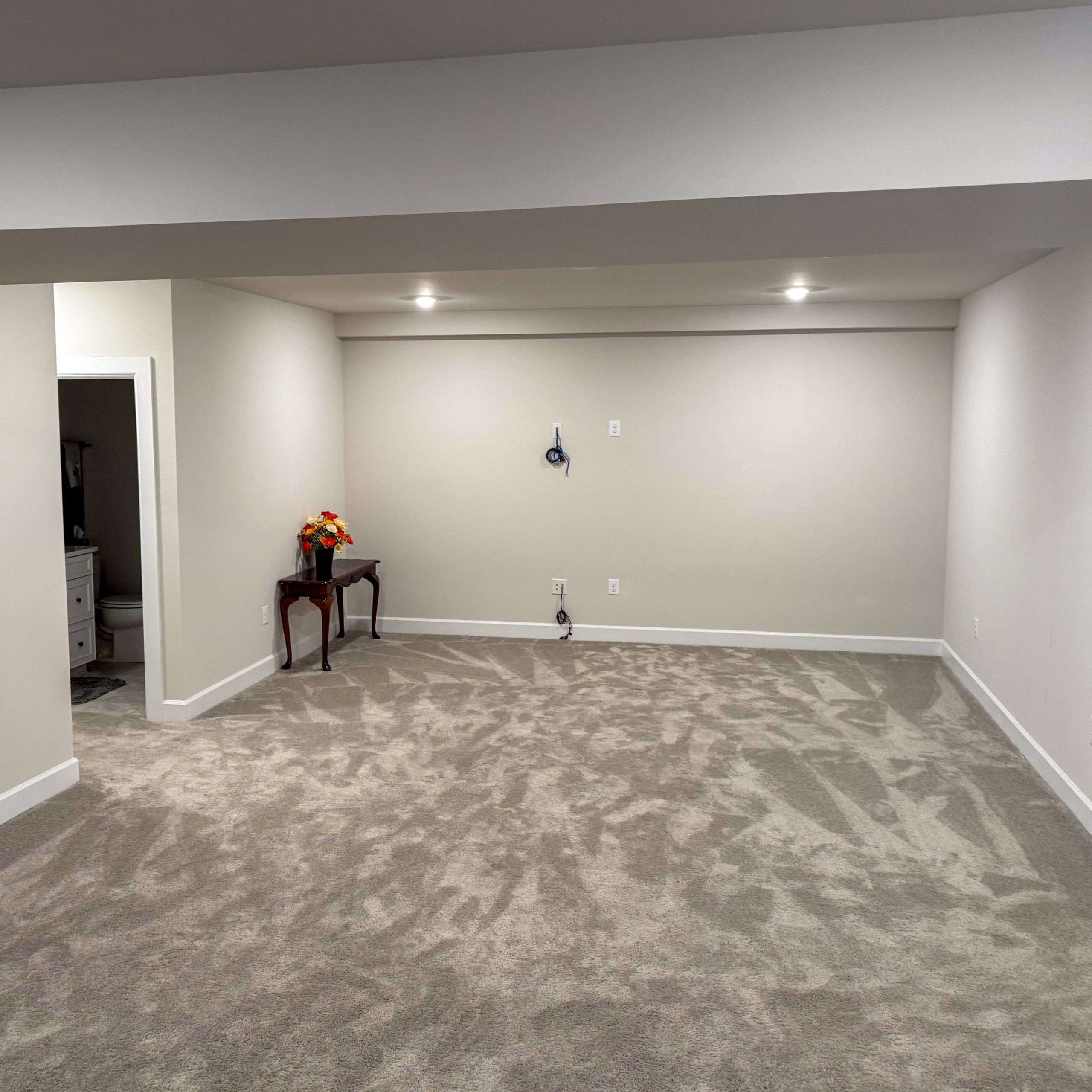 Before the basement remodel