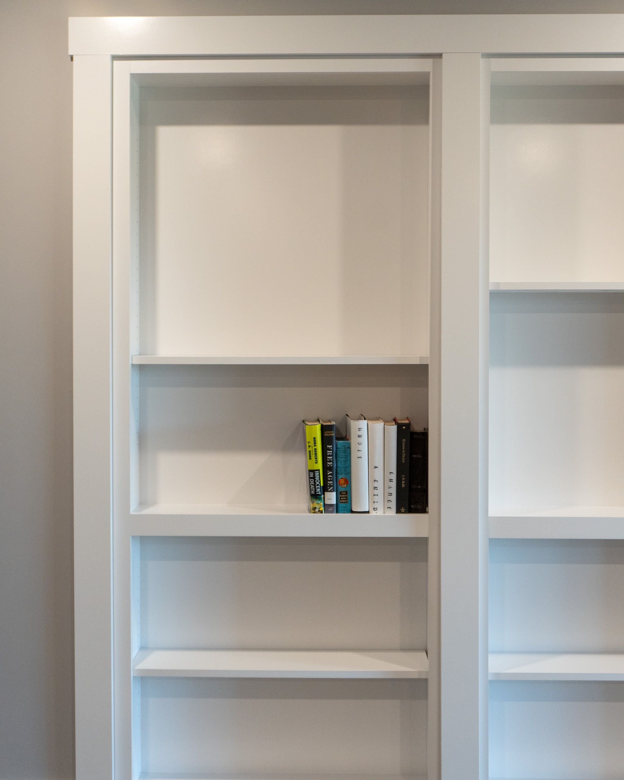 Bookshelf Murphy Door® with a few books on it