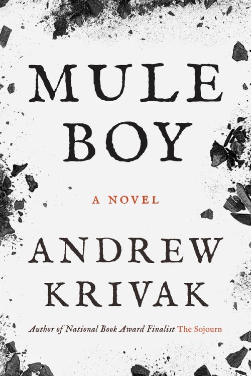 cover image of Mule Boy