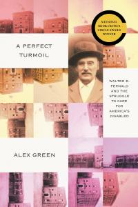 cover image of A Perfect Turmoil