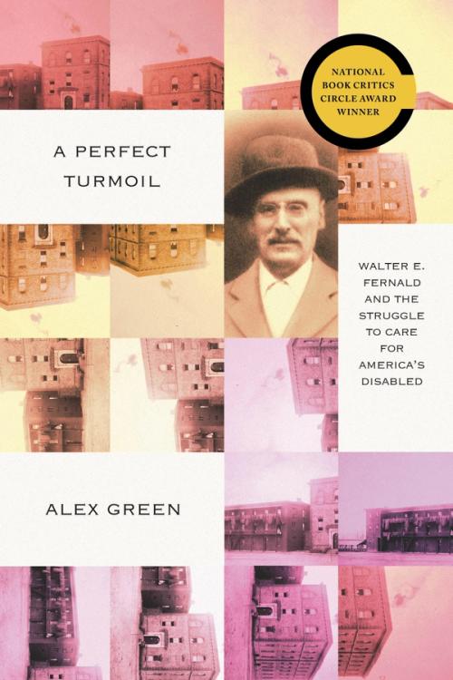 cover image of A Perfect Turmoil