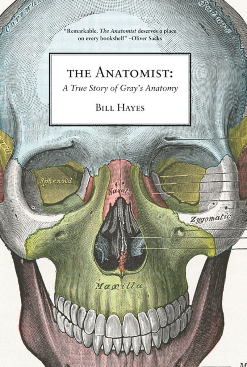 cover image of The Anatomist