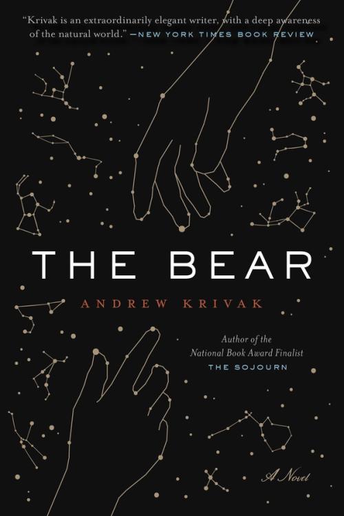 cover image of The Bear