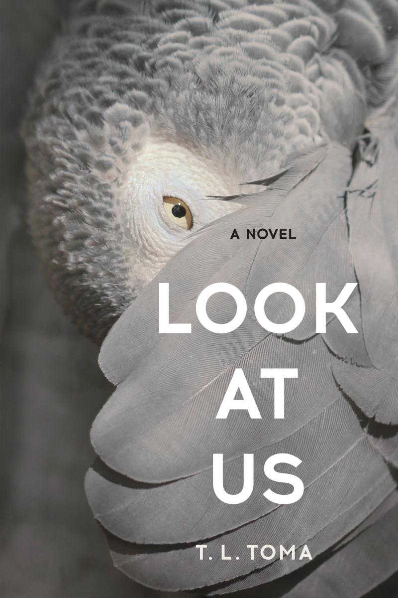 cover image of Look at Us