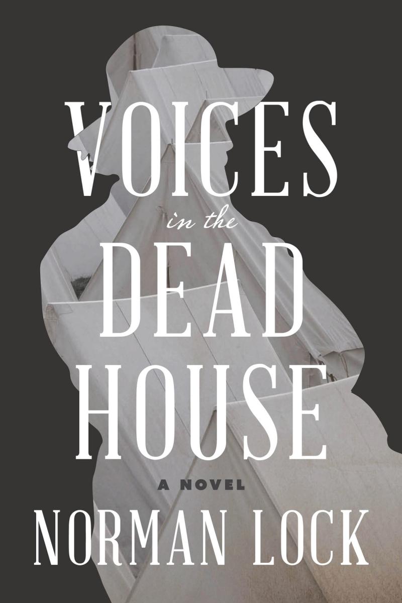 cover image of Voices in the Dead House