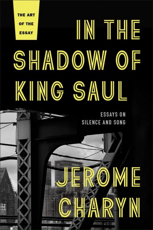 cover image of In the Shadow of King Saul