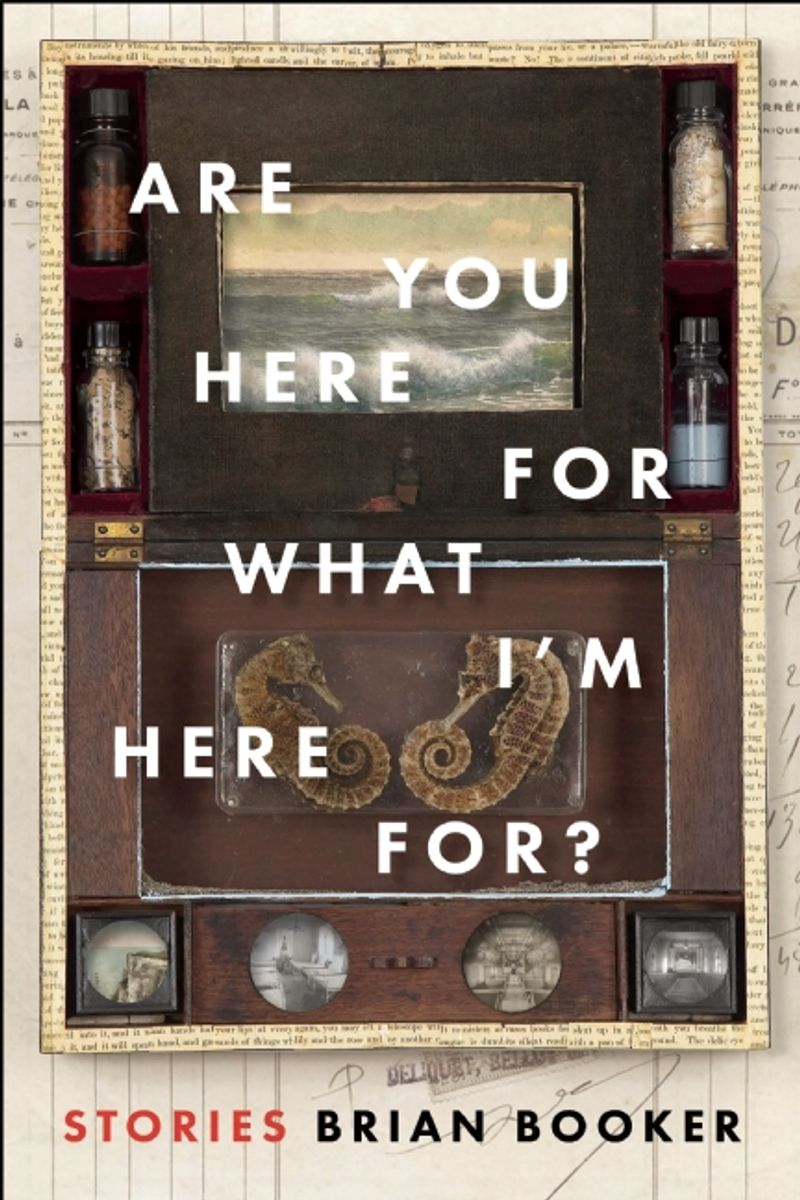 cover image of Are You Here For What I’m Here For?