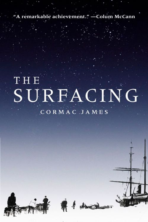 cover image of The Surfacing