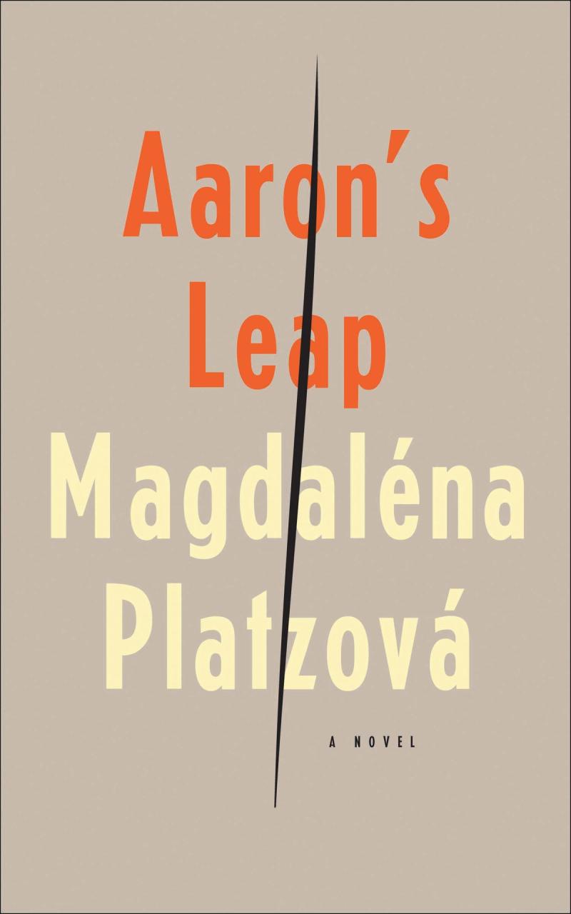 cover image of Aaron’s Leap