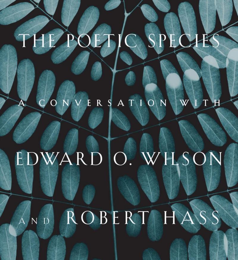 cover image of The Poetic Species