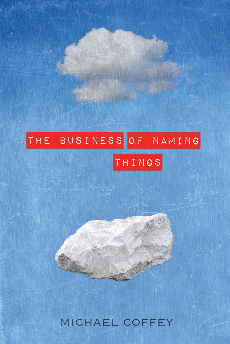 cover image of The Business of Naming Things