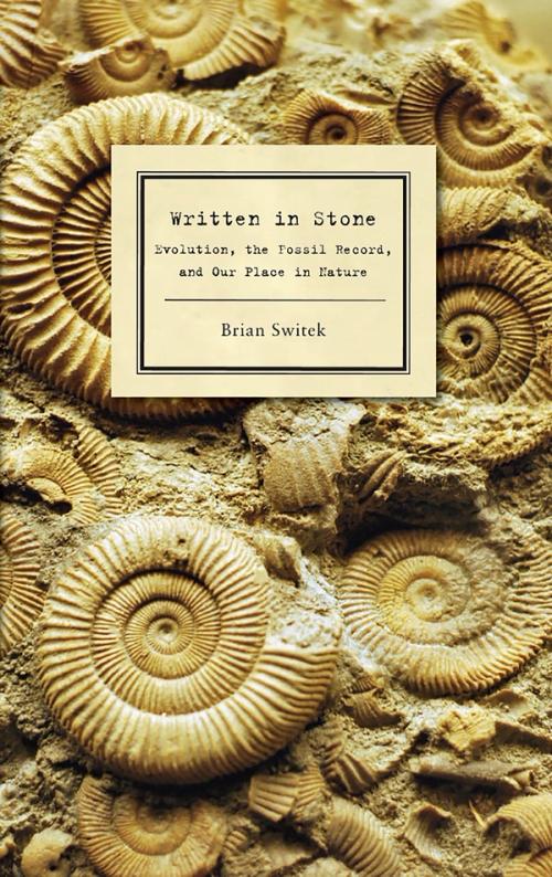 cover image of Written in Stone