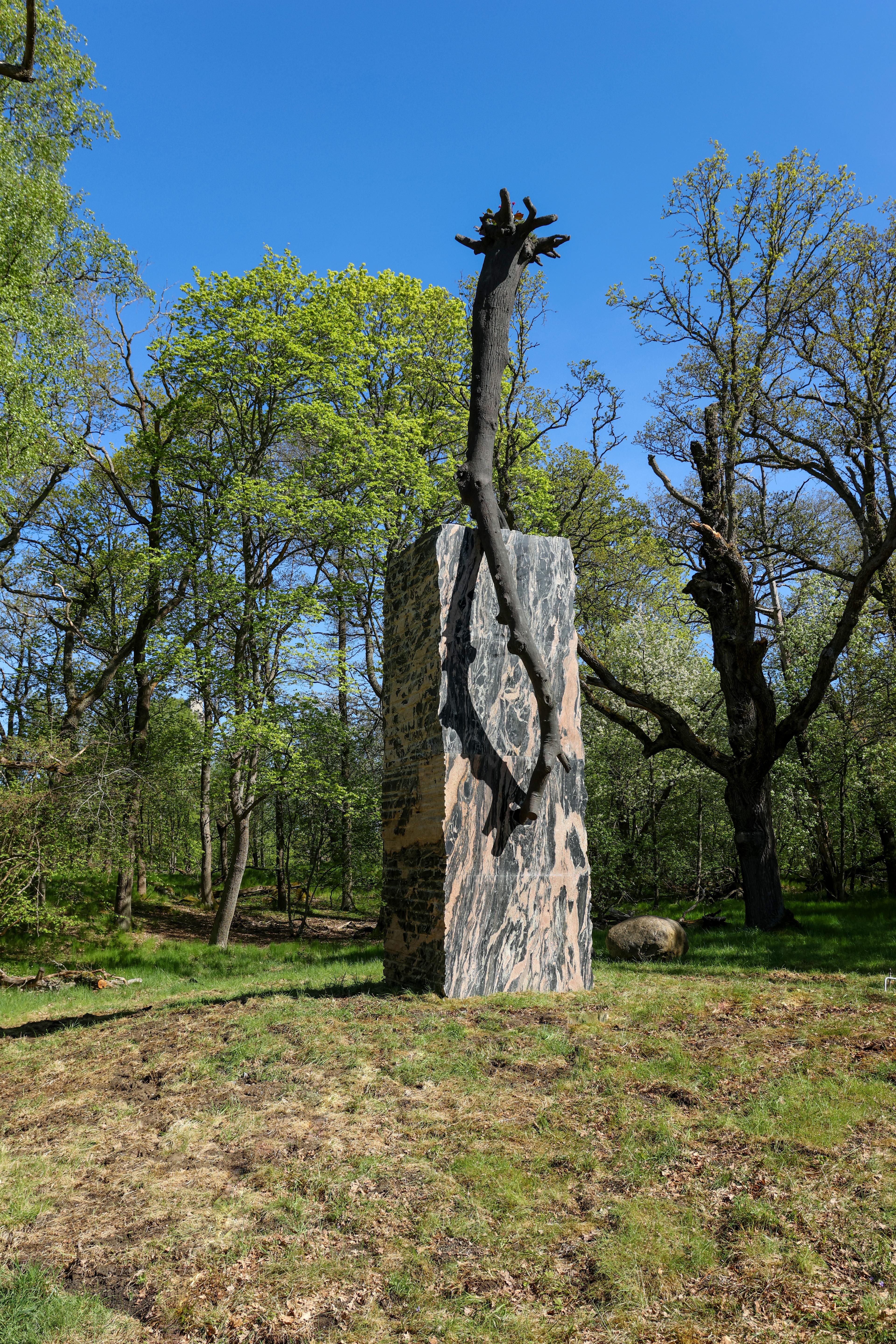 The Inner Flow of Life, a bronze tree sculpture by Giuseppe Penone in Princess Estelle Sculpture Park.