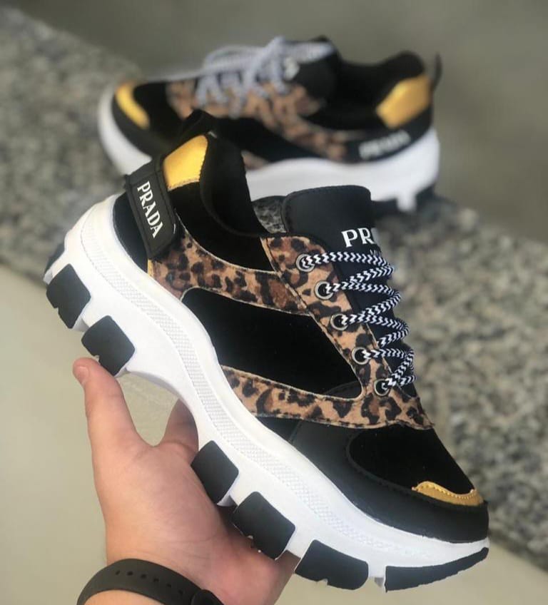 Championes Prada Modelo 2