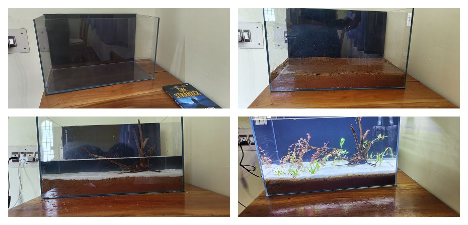 my tank setup from start to finish