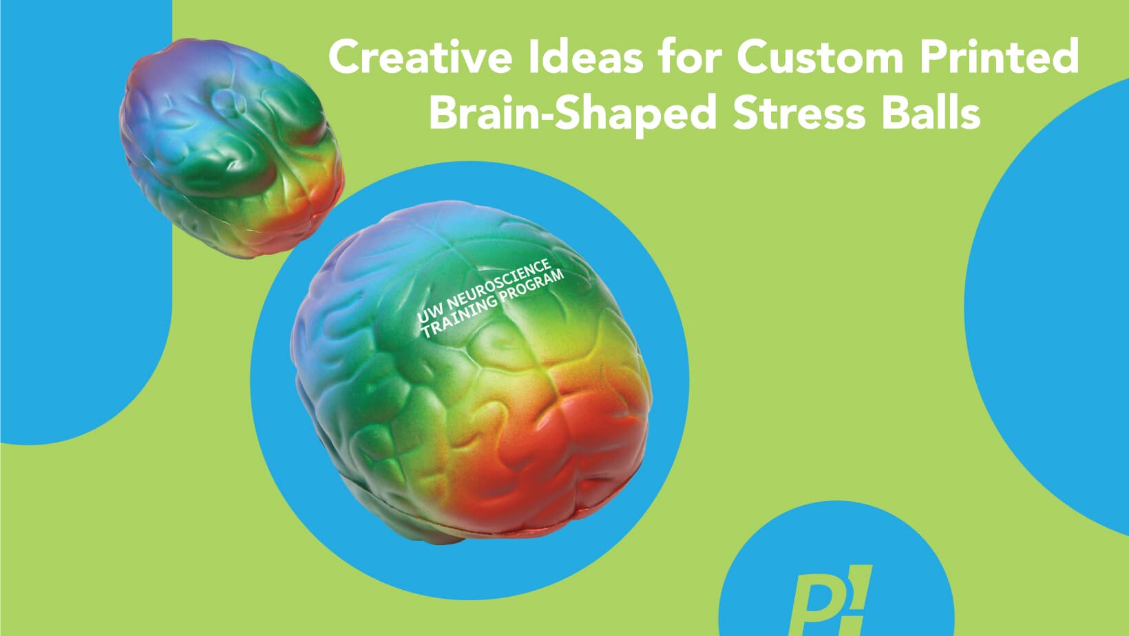 Creative Ideas for Custom Printed Brain-Shaped Stress Balls
