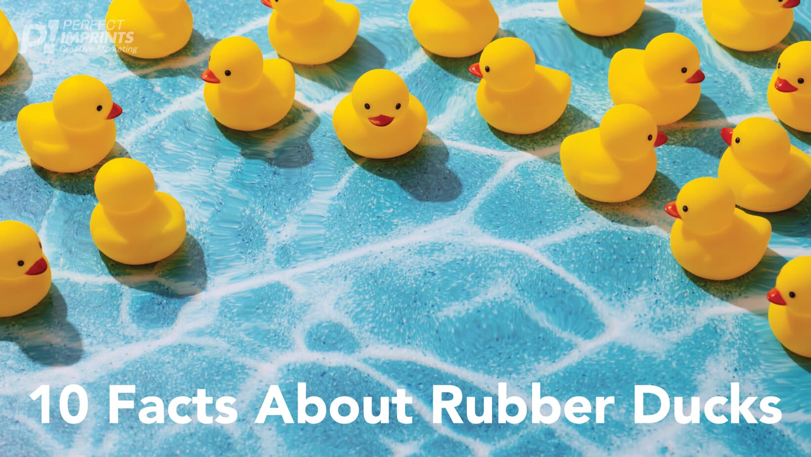 10 Facts About Rubber Ducks