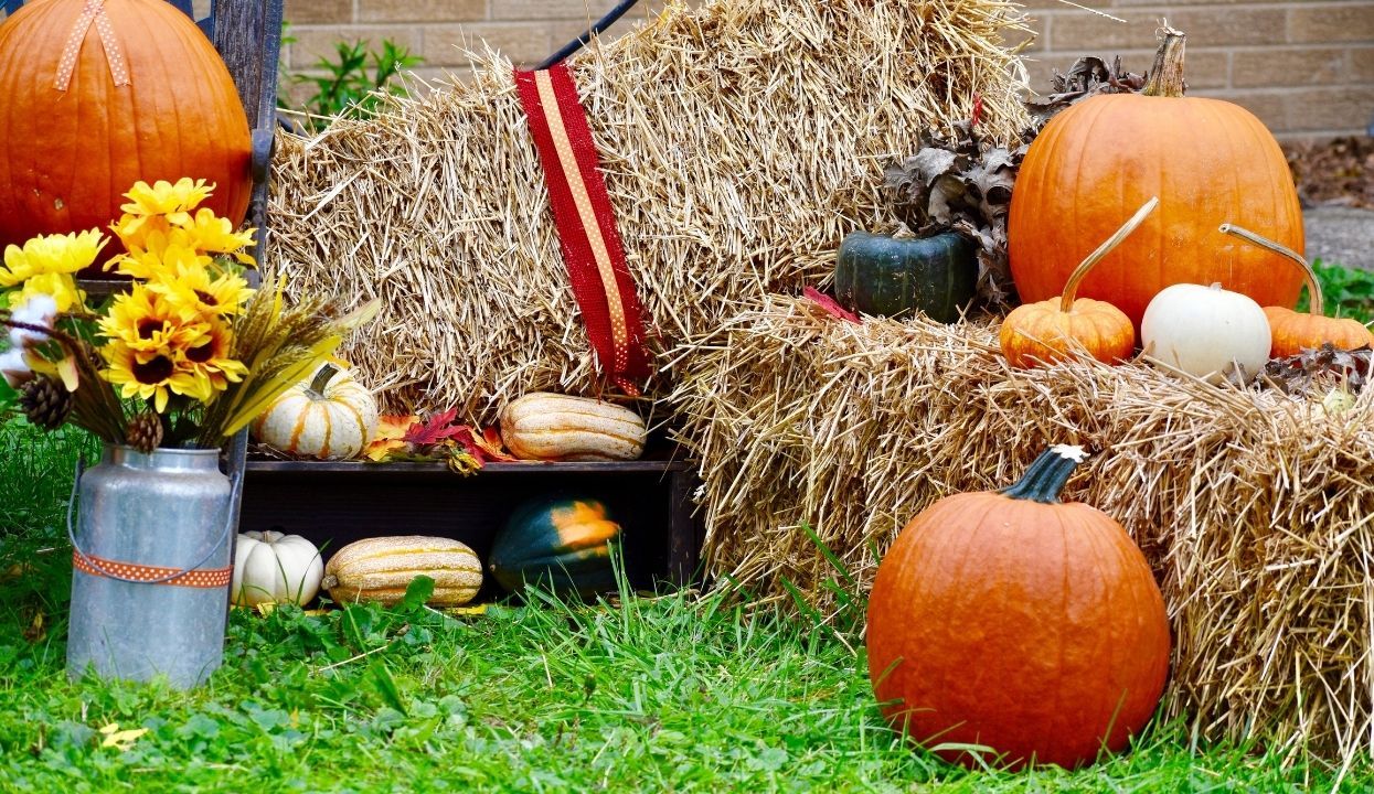Hosting A Fantastic Fall Festival