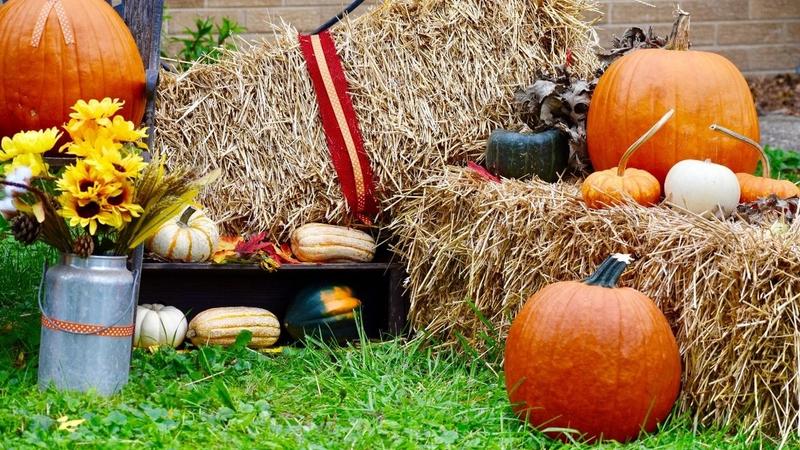Hosting A Fantastic Fall Festival