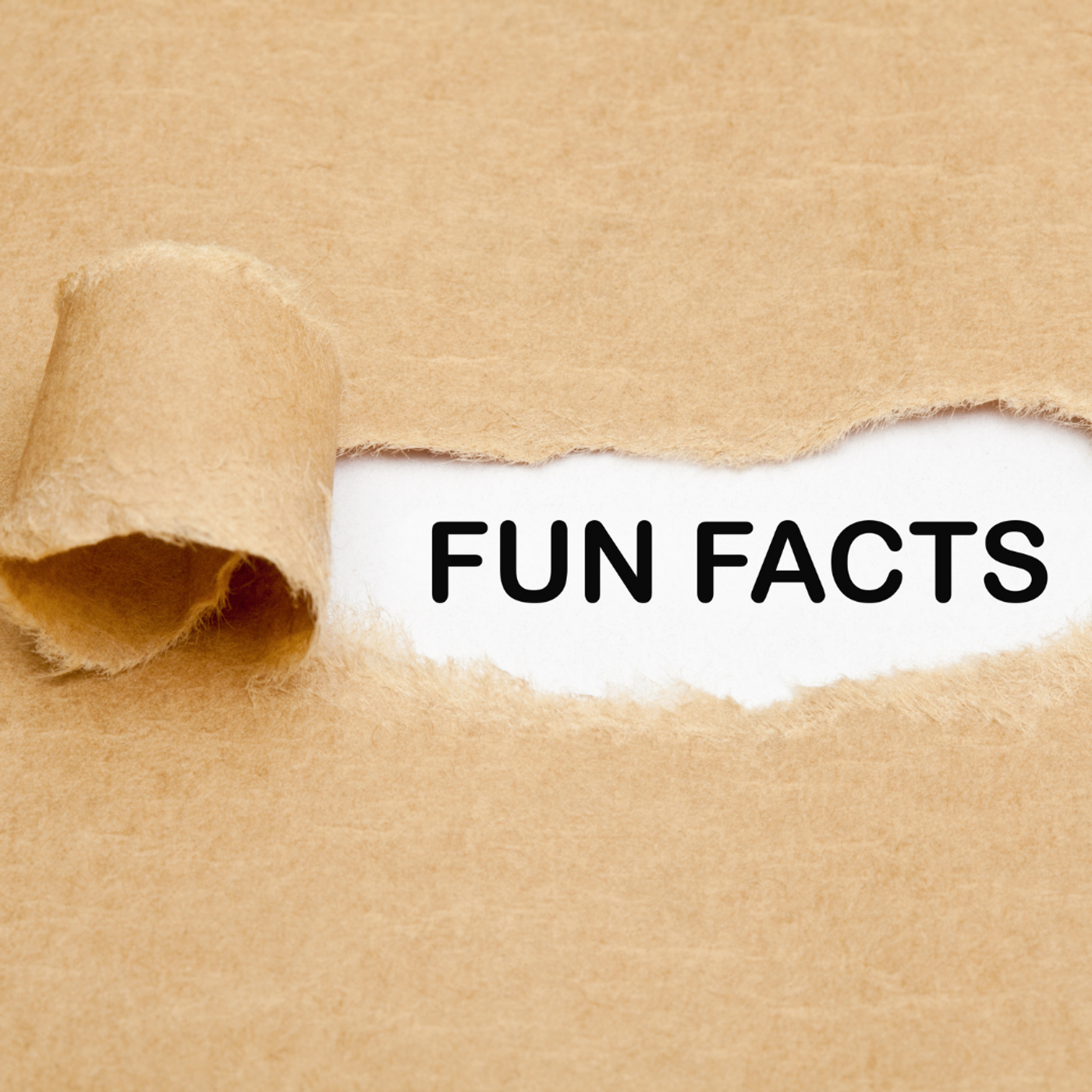 5 Fun Facts About Promotional Products