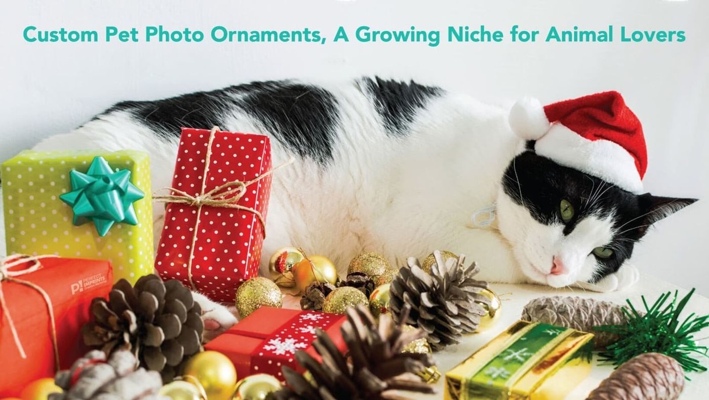 Custom Pet Photo Ornaments, A Growing Niche for Animal Lovers